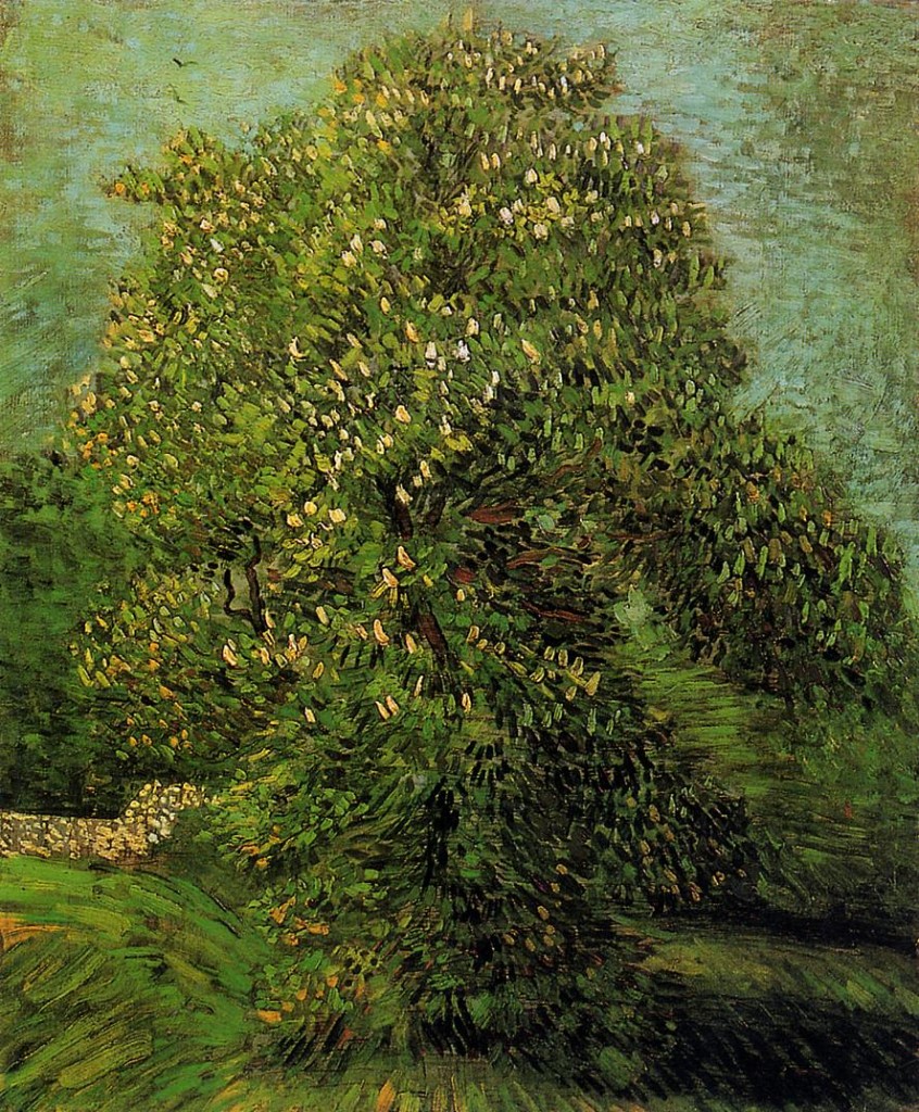 1887 Chestnut Tree in Bloom oil on canvas